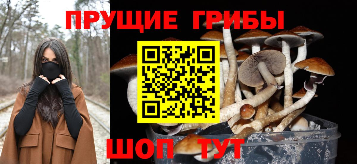 Галлюциногенные грибы Magic Shrooms  Вход с VPN  Губаха 