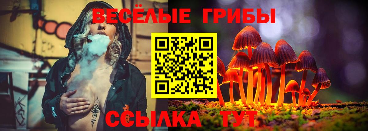 Галлюциногенные грибы Psilocybine cubensis Губаха